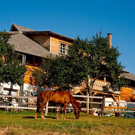 Casa de hóspedes Tunderkert Panzio Izvoare (Harghita)